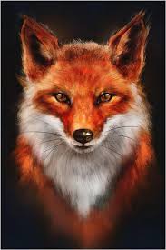 Profil de Andde, 31 ans, Rencontre Mature à Comfort Cove-Newstead