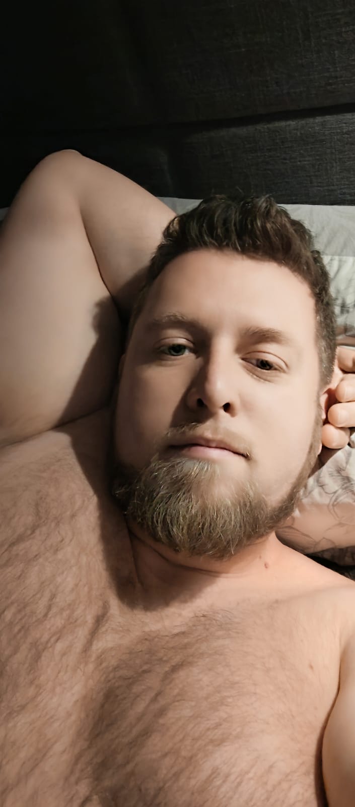 Profil de Bylal, 33 ans, Rencontre Mature à Sainte-Thérèse-de-la-Gatineau