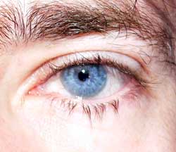 Profil de Sead, 55 ans, Rencontre Mature à Malpeque Bay