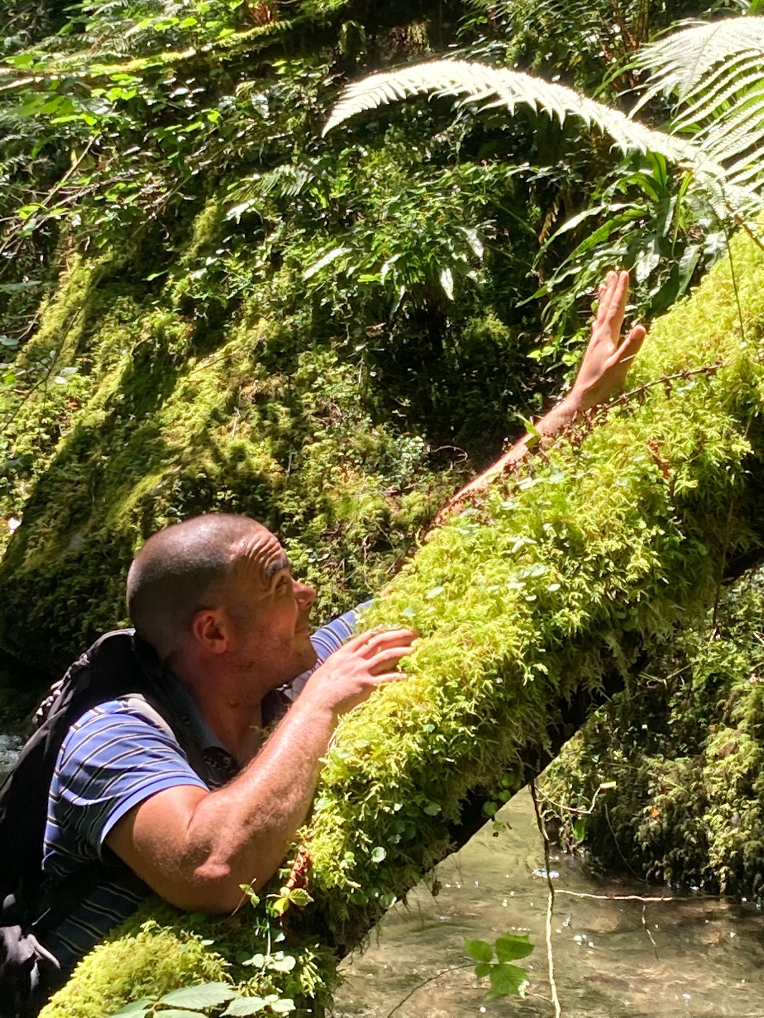 Profil de Jammel, 41 ans, Rencontre Mature à Argyle