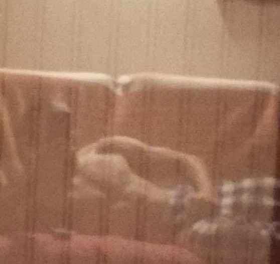 Profil de Iliann, 23 ans, Rencontre Mature à Fort Liard