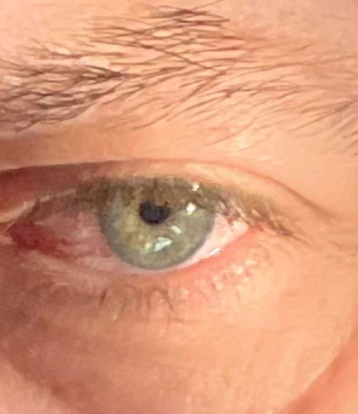 Profil de Kahan, 51 ans, Rencontre Mature à Port au Port East