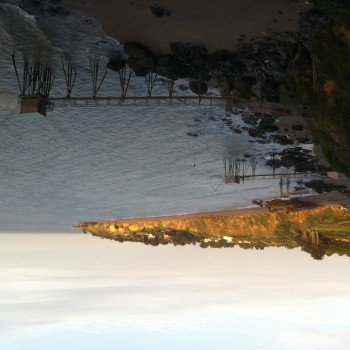 Profil de Alba, 37 ans, Rencontre Mature à Cadillac