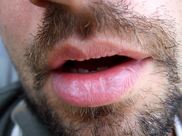 Profil de Arthus, 32 ans, Rencontre Mature à George's Brook-Milton